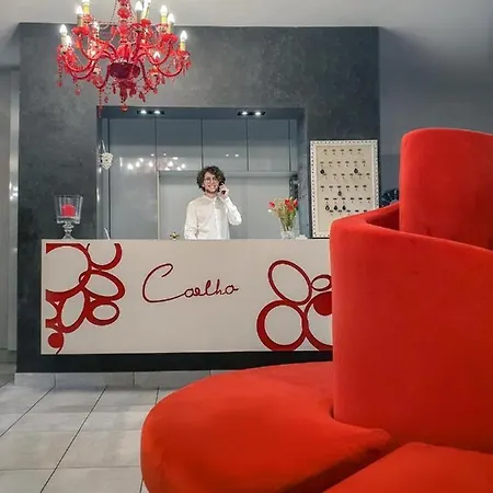 Coelho غاتيو أ ماري