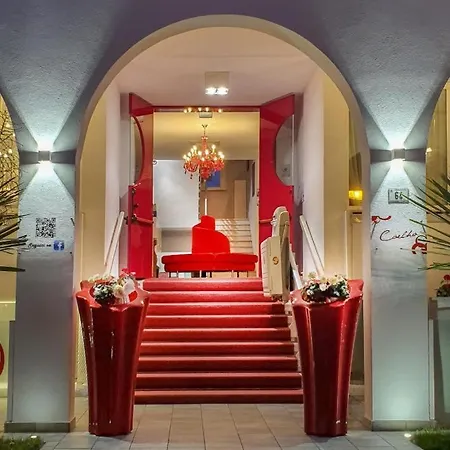 Coelho 3* غاتيو أ ماري